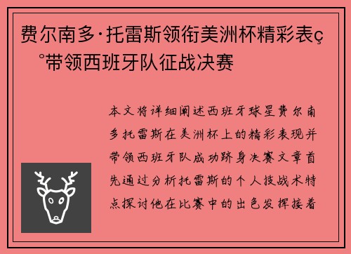 费尔南多·托雷斯领衔美洲杯精彩表现带领西班牙队征战决赛